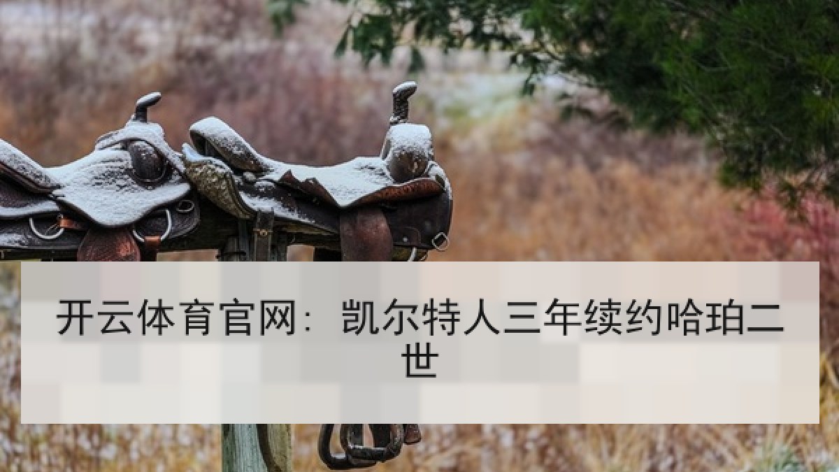 开云体育官网: 凯尔特人三年续约哈珀二世 开云体育官网: 凯尔特人三年续约哈珀二世